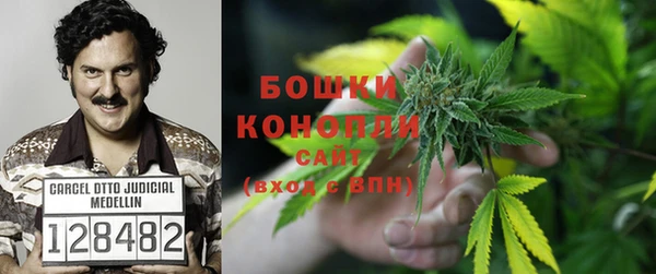 дживик Надым