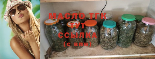 дживик Надым