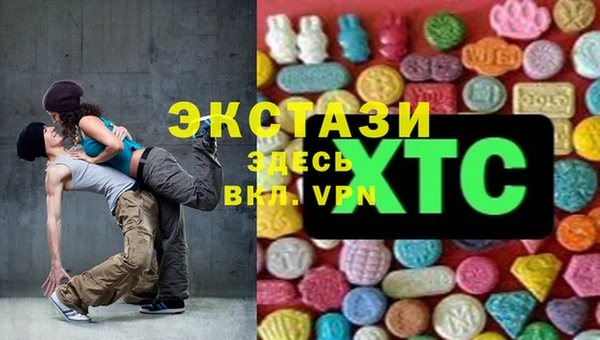 дживик Надым