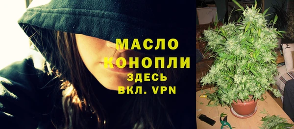 дживик Надым