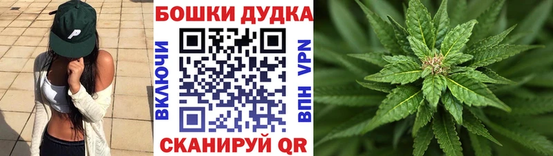 хочу   Черемхово  Шишки марихуана Amnesia 